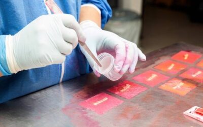 Czy testy płatkowe są wiarygodne?