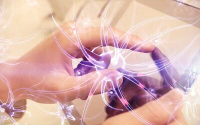 Jak naprawić układ nerwowy po stresie?